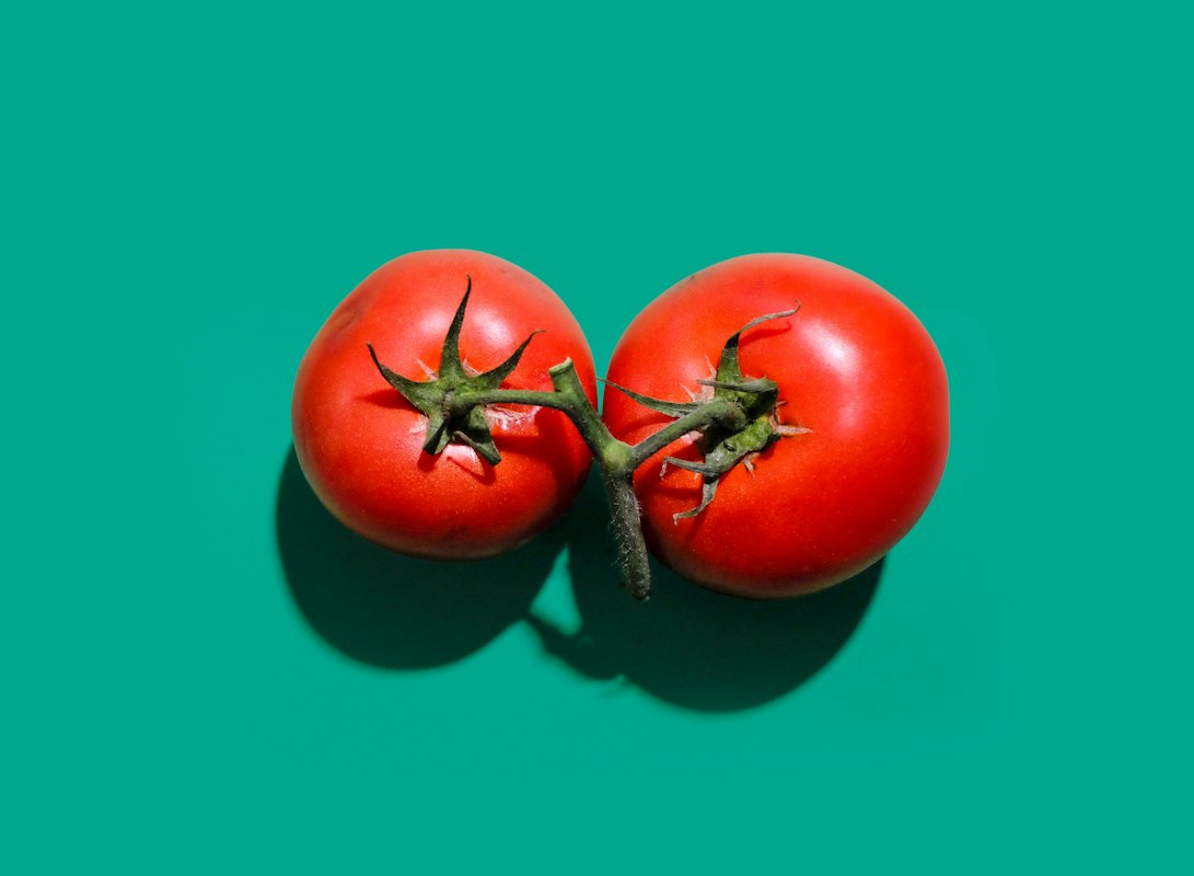 Kürbis und Samen
